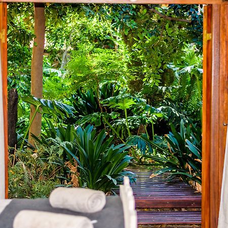 86 On Langenhoven Bed & Breakfast Oudtshoorn Luaran gambar