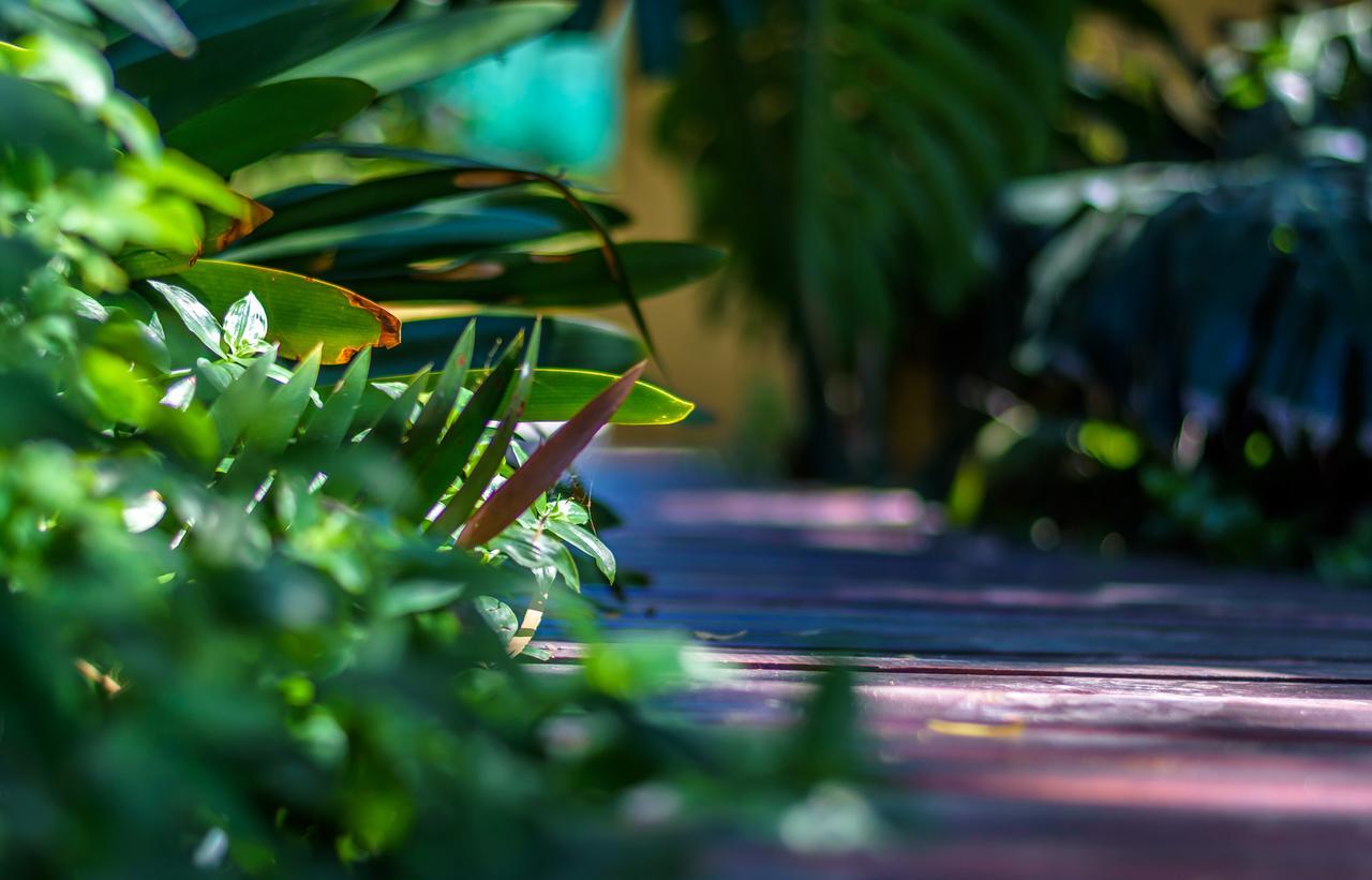 86 On Langenhoven Bed & Breakfast Oudtshoorn Luaran gambar