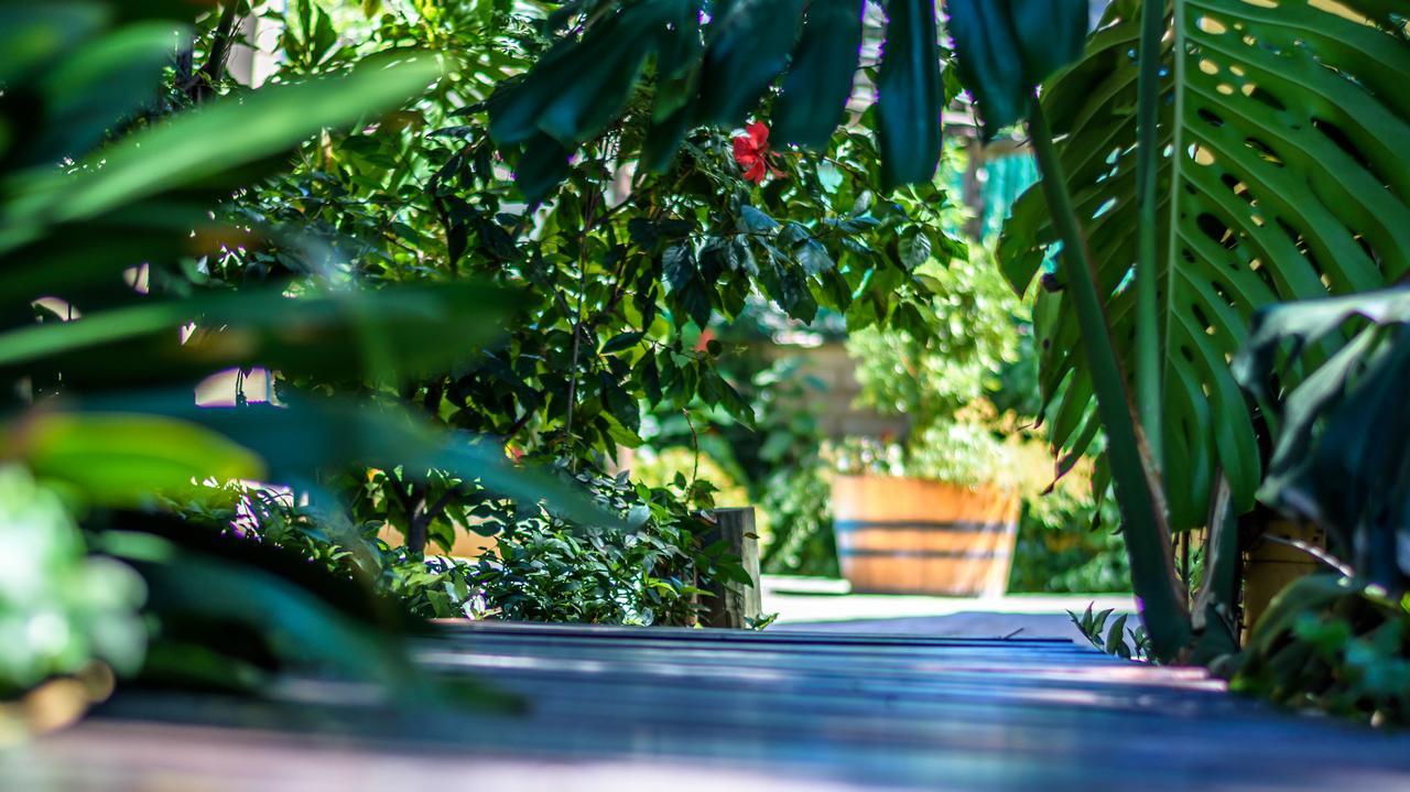 86 On Langenhoven Bed & Breakfast Oudtshoorn Luaran gambar